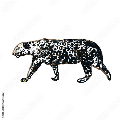  color sketch of leopard with transparent background