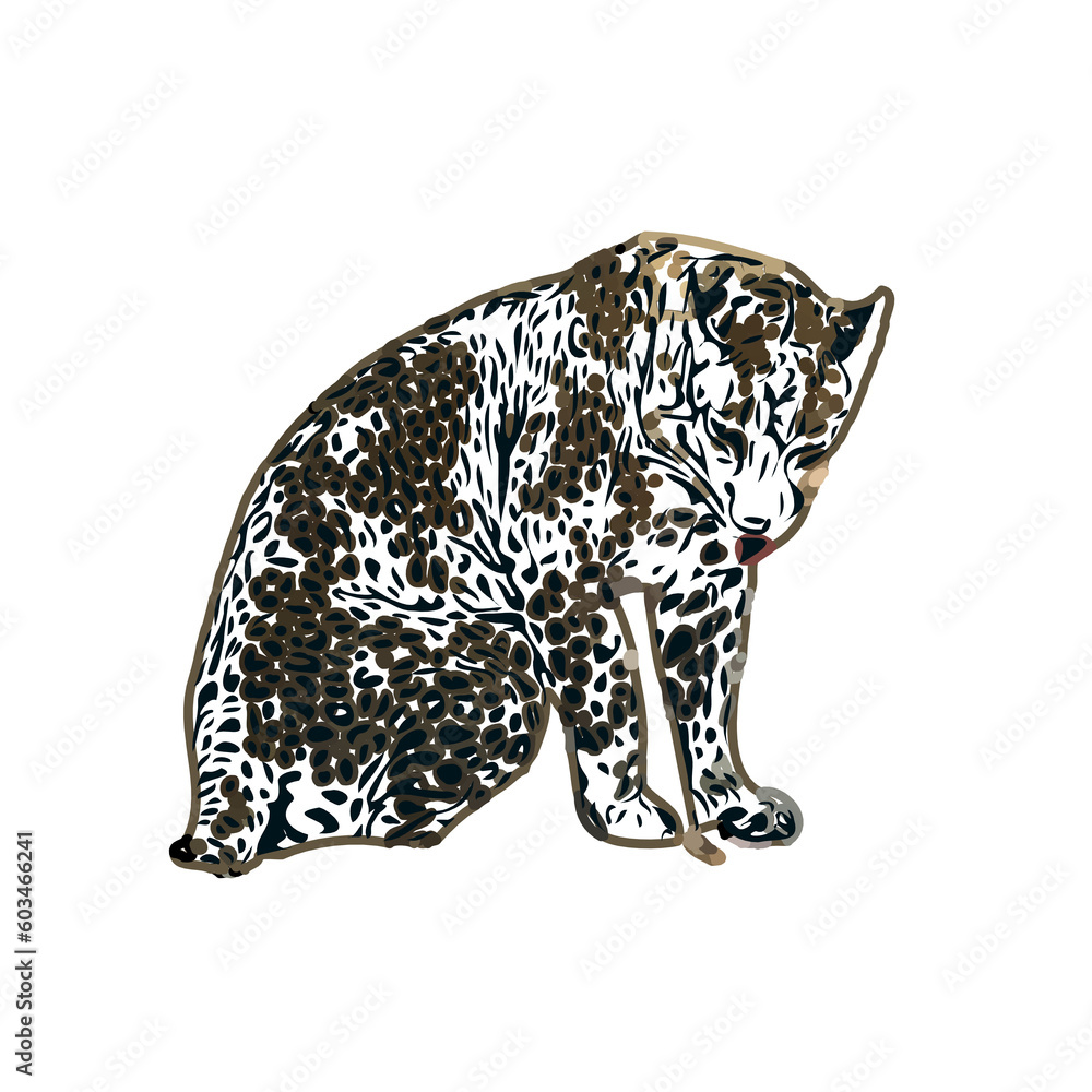 color sketch of leopard with transparent background color sketch of leopard with transparent background