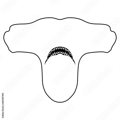 Head of a hammerhead shark fish. Animal design. Black and white linear silhouette.