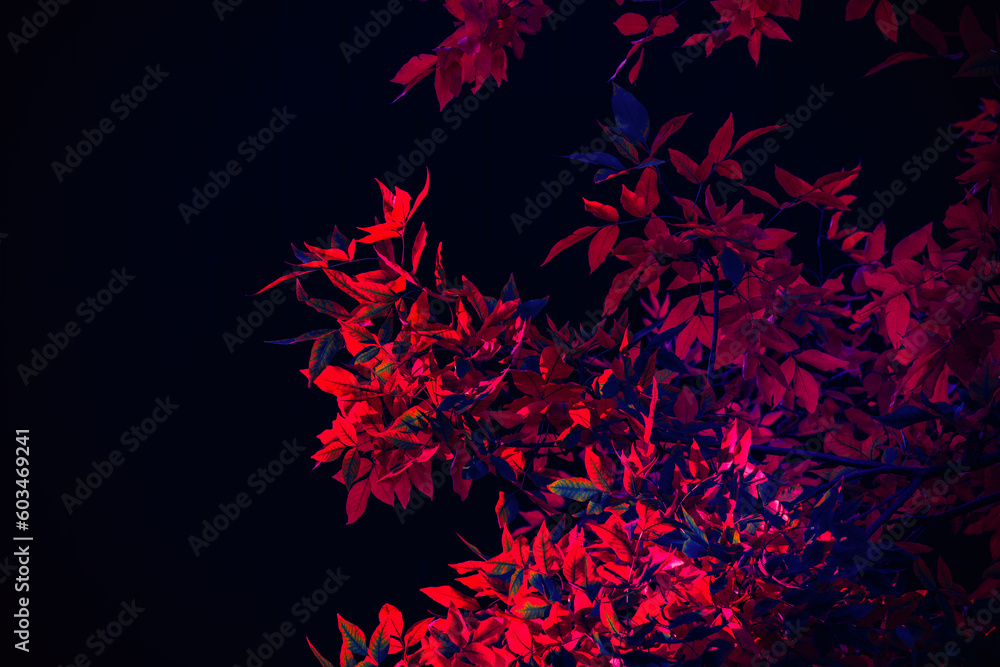 High contrast red and blue leaves on black background