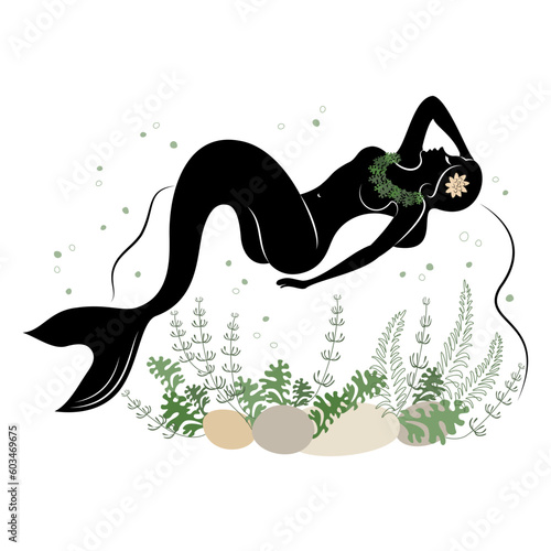 Mermaid silhouette. A beautiful girl lies on a stone in the water. Next to the leaves of the plant. Fantastic image of a fairy tale. vector illustration set.