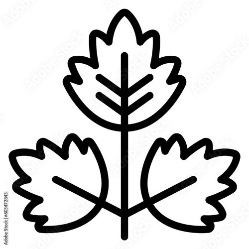 Parsley Vector Line Icon