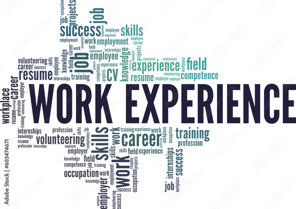 Work Experience word cloud conceptual design isolated on white background.