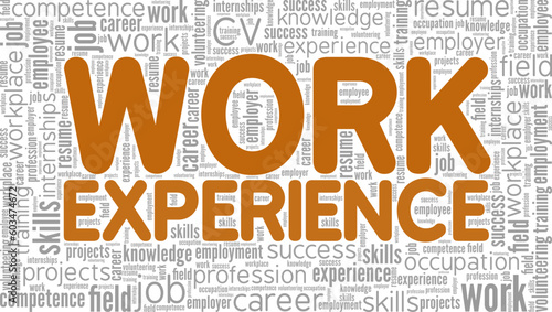 Work Experience word cloud conceptual design isolated on white background.