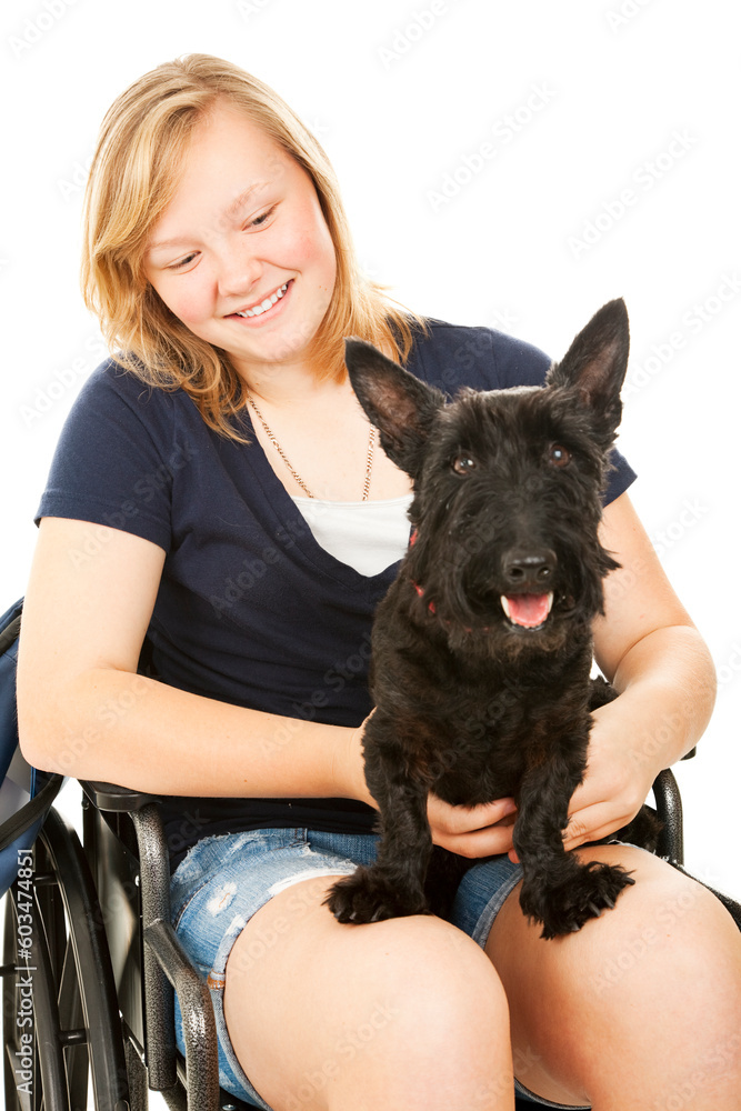 Pretty teen girl in a wheelchair holding her Scotty dog. White background. Pretty teen girl in a wheelchair holding her Scotty dog. White background.