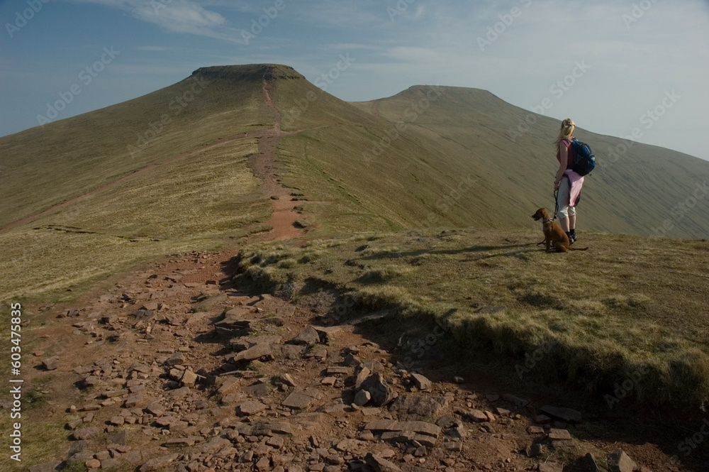 Hill walking in the Brecon Beacons South Wales, witht the trusty hound