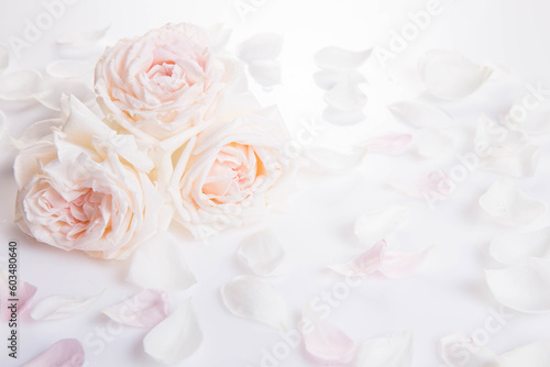 Romantic wedding background, tender pink rose. Wedding, valentine, engagement