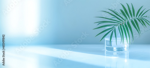 Minimal abstract blue background for product presentation with shadow. palm leaves and reflection of light from a window on a wall in a blue pastel room. © Viks_jin