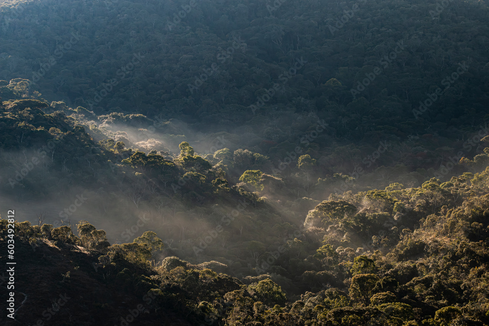 Amanhecer nas montanhas da floresta do Bioma da Mata Atlântica preservada na Serra da Mantiqueira, Minas Gerais