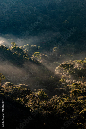 Amanhecer nas montanhas da floresta do Bioma da Mata Atlântica preservada na Serra da Mantiqueira, Minas Gerais