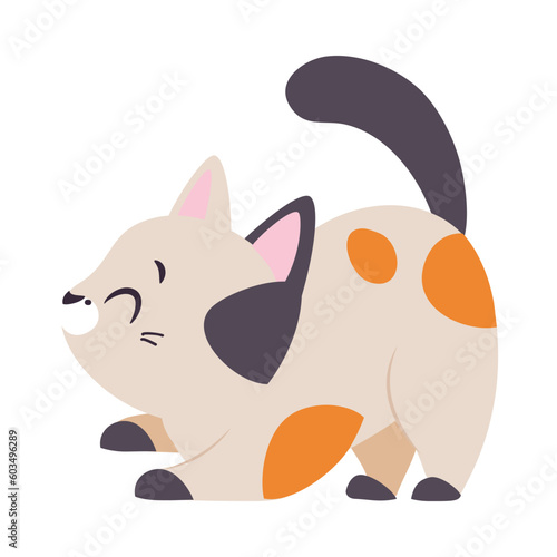 Funny Cat with Paw and Tail Playing Vector Illustration