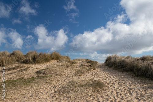 Footpath leading to Walberswick beach  Suffolk  England  United Kingdom
