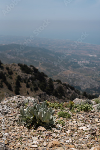 view from the top of the mountain dikeos kos greece