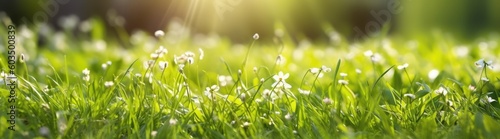 Fresh spring sunny garden against the backdrop of green grass, flowers and bokeh blurred foliage. Generative AI