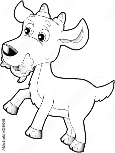 sketch cartoon scene with funny looking farm goat smiling illustration for children