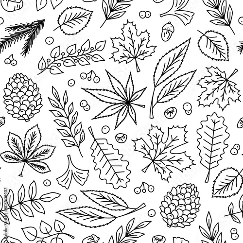 Vector hand drawn autumn leaves doodle seamless pattern in line style. Red maple, oak, chestnut tree leaves. Berries, acorns, chestnuts and pine branches, quaking aspen, butternut. Foliage background