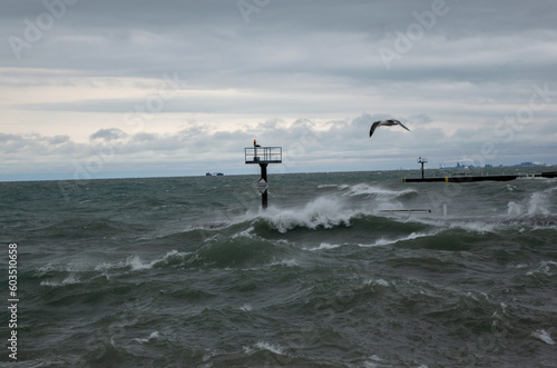 Canvas Print Stormy Lake Michigan