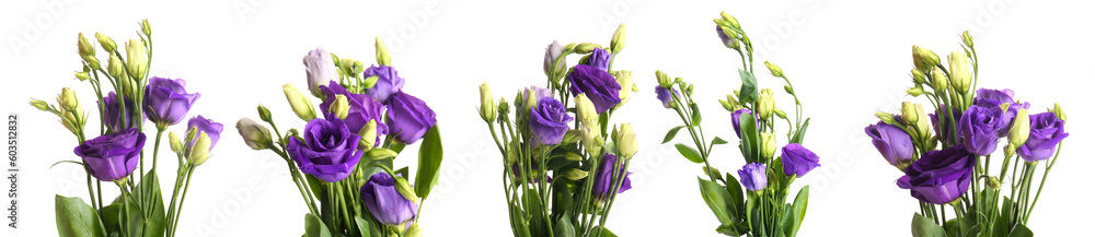 Set of bouquets of fresh eustoma flowers on white background Set of bouquets of fresh eustoma flowers on white background