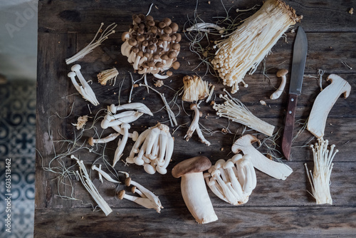 Various edible Asian mushrooms. Enoki, shimeji, shiitake, tea tree, royal oyster mushrooms. Set of vegetables. Dark photo natural light. Flatly. Selective focus.