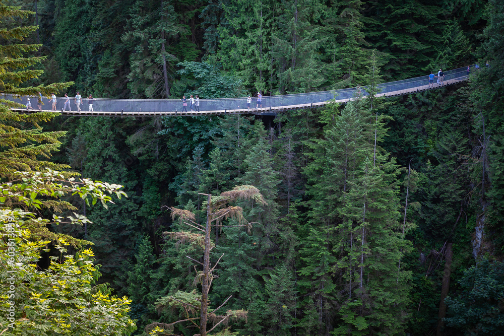 Capilano Bridge, a structure spanning the Capilano River, in the North