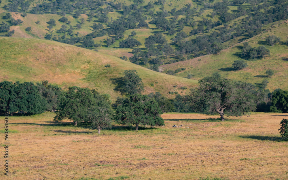 Fototapeta premium Scenic Mountains near Bealville, Kern County, California