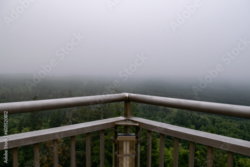 Into the Fog