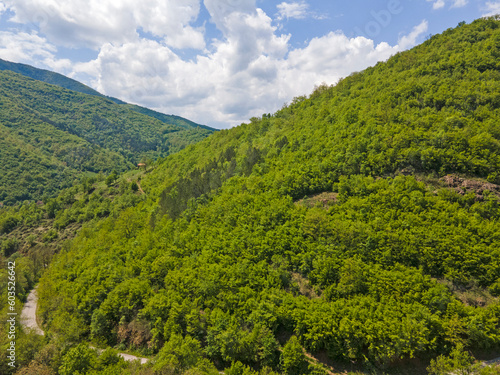 Aerial view of Iskar River Gorge near village of Ochindol  Bulgaria