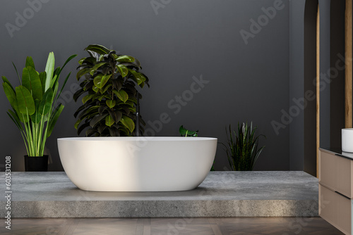 Stylish gray bathroom interior with parquet floor  arches  dark and wooden wall  bathtub  and double white sink with oval mirrors and wooden vanity. 3d rendering copy space Mock up