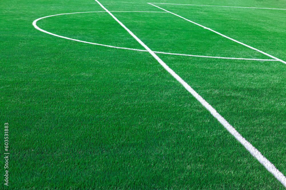 Lawn soccer field . Green football field grass