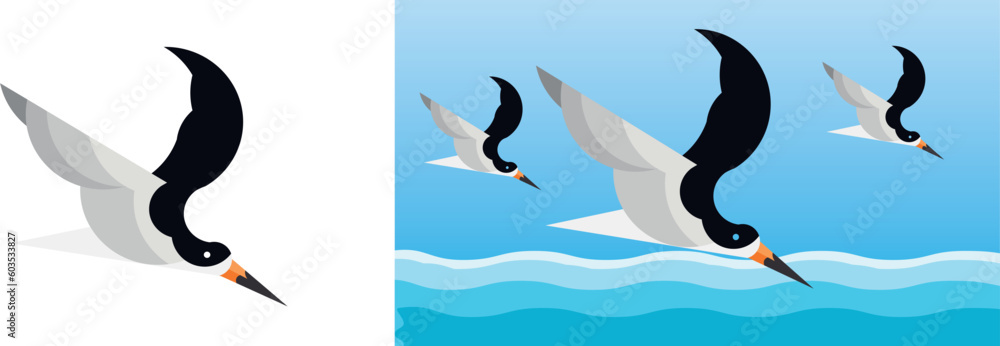 Naklejka premium seagulls in the sea, black skimmer