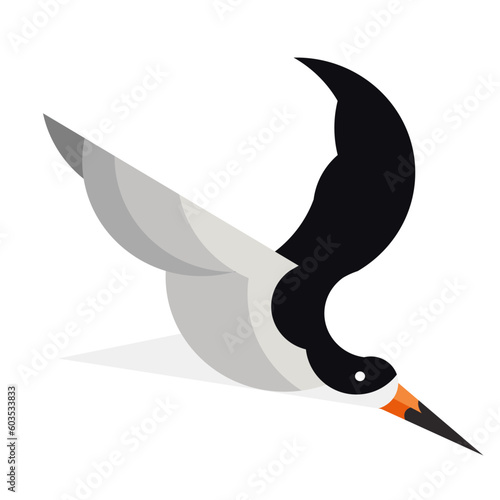 seagulls in the sea, black skimmer