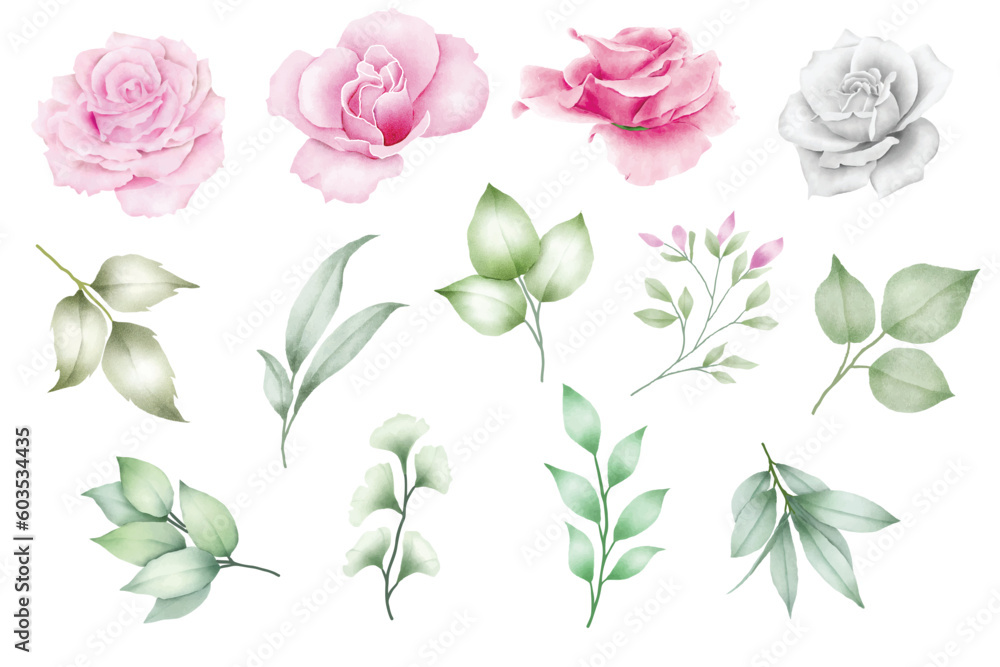 Set Of Floral Watercolor Element