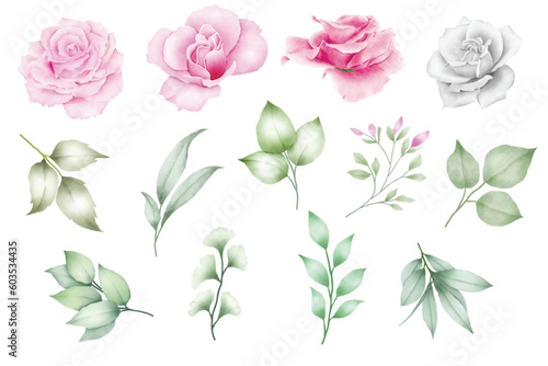 Set Of Floral Watercolor Element