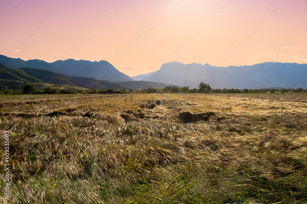Fototapeta premium Peaceful landscape before sunset with some wind. Two mountains with a canyon in Greece. Kerketio mountain. Pindus mountains.