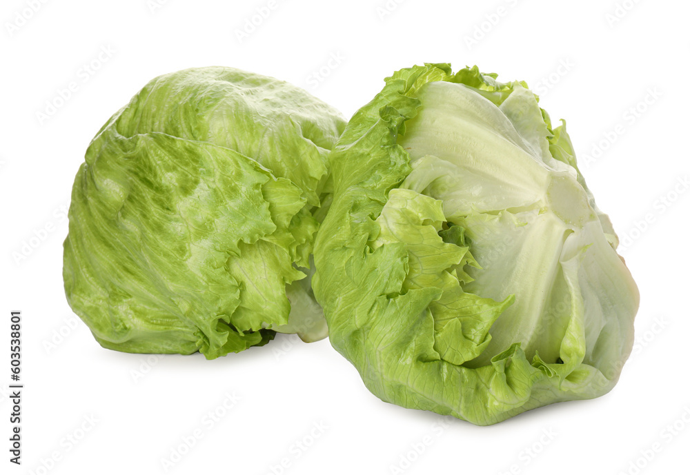 Fresh green iceberg lettuces isolated on white Fresh green iceberg lettuces isolated on white
