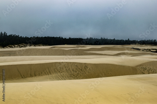 Oregon Dunes