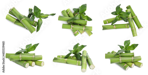 Collage with green bamboo stems and leaves on white background