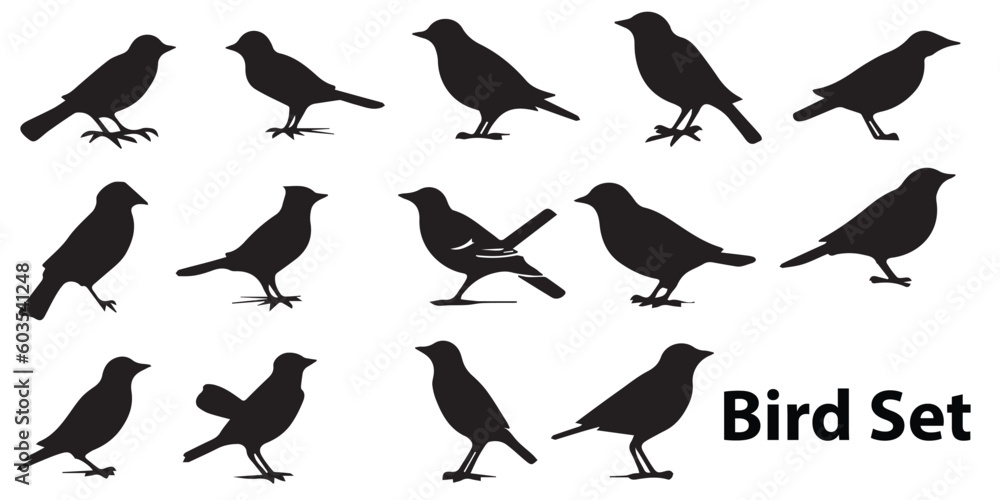 A black and white illustration of a bird set silhouette vector illustration. A black and white illustration of a bird set silhouette vector illustration.