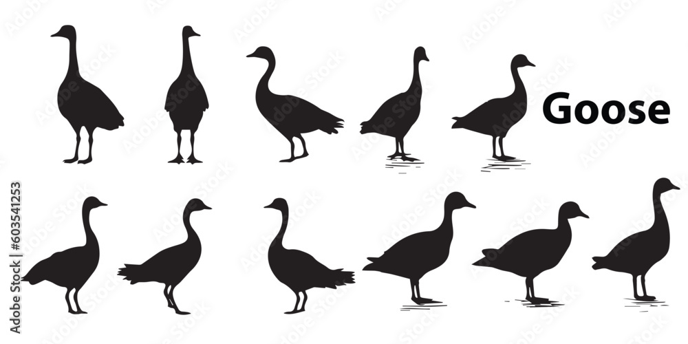 A set of silhouettes of geese vector illustration.