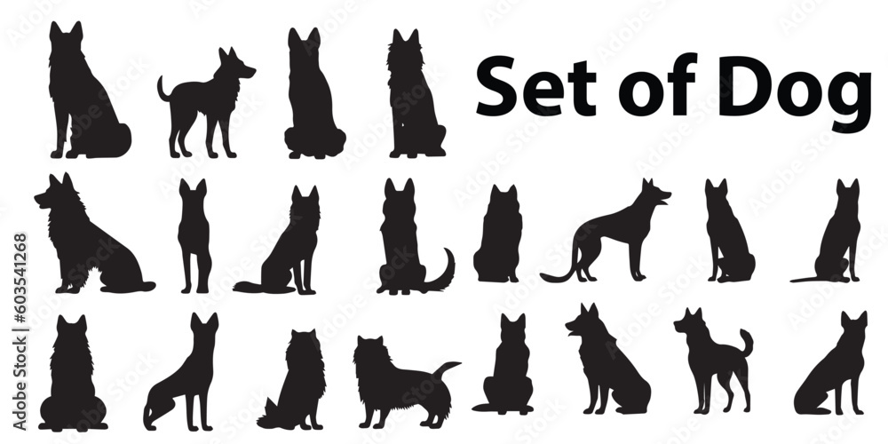 Silhouettes of a dog's vector set.