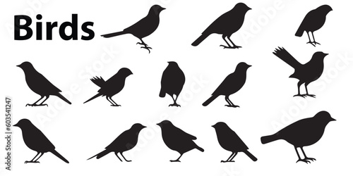 A set of bird silhouette vector illustrations.