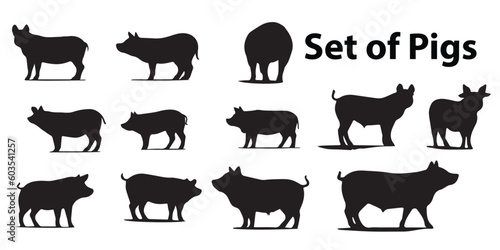 Set of pigs silhouettes vector collection.