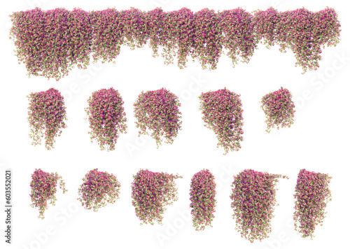 Creeper plant, climber plant 3D rendering with transparent background, for illustration, digital composition, architecture visualization