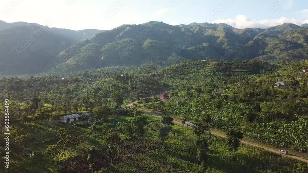 Truck driving on road, Uganda countryside. Drone reveal of beautiful African tropical landscape. Truck driving on road, Uganda countryside. Drone reveal of beautiful African tropical landscape.