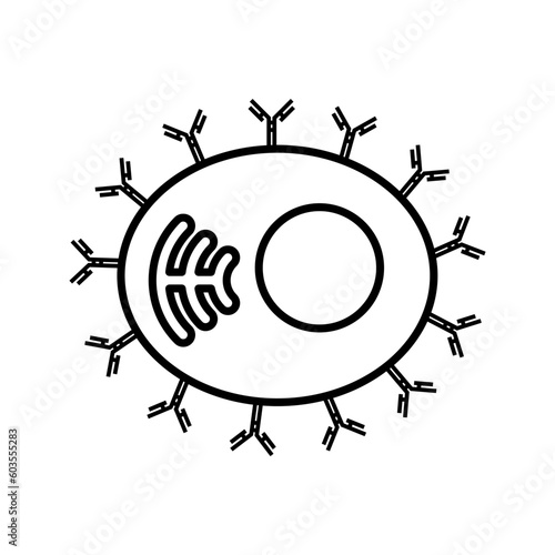 immune cell with antibody icon vector