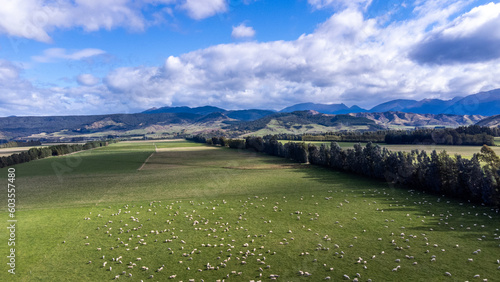 Aerial (drone) photo of sheep farm in Te Anau, New Zealand