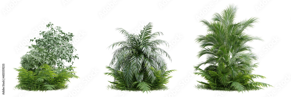 Collection green grass and plant on transparent background 3d rendering png.