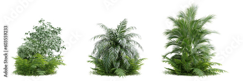 Collection green grass and plant on transparent background 3d rendering png.