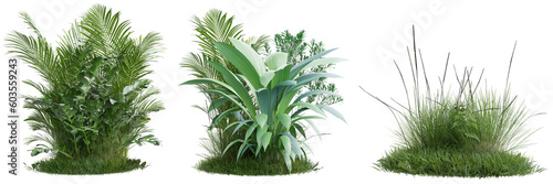 Collection green grass and plant on transparent background 3d rendering png..