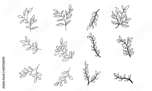 Set of Leaves and Branch. Outline Olive Branch In a Trendy Minimalist Style. Vector Illustration for printing on t-shirt, Web Design, beauty Salons, Posters, creating a logo and Patterns